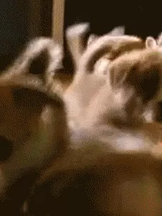 Sabrina Sabrina