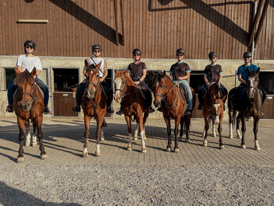 Pingu-Teamevent: Ein tierisches Teambuilding-Erlebnis der besonderen Art.  Praktikum-Teamevent